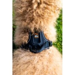 Fressnapf Tracker Pathfinder Geschirr Set S -Heimtierbedarf Geschäft 0473ecbb0fe55fb7883a57b7591ab570c5a5aaa7 1409260 2