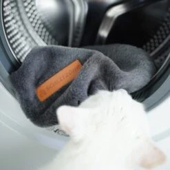 Schlitzohr Ersatzbezug Fensterbankliege -Heimtierbedarf Geschäft 31be77f1e399f6136043e21b4738926da0a2a857 1484678 de DE ef0a822967d19fb8fa7e91c1bd57dd978a972d89UwPMnu