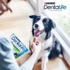 DentaLife PURINA Hunde Zahnpflege-Snacks Großpackung Medium, 84x 9 DentaLife PURINA Hunde Zahnpflege-Snacks Großpackung Medium, 84x -Heimtierbedarf Geschäft 3d22bf74a99660236ce1548620fac8aa3ac8818f 7dac1d18ca011066644ad899fee9fa3bcb5974f5