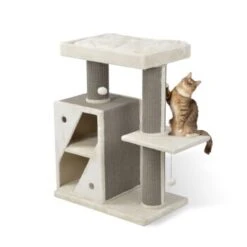 MORE Kratzbaum Edward -Heimtierbedarf Geschäft 3dbf59e3cce477fabe3045964c3b31542fd34f93 a301cd96a03fc3e3e31f0cea97769d1447bd4627