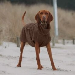 THE DOG IDEA Bademantel Every Braun XXXS -Heimtierbedarf Geschäft 62c517832f7f923b83b0a0ee681a77b2e33cc3c3 1473036 de DE 2393ef51979dd0191b0261c826741cb7543b7b3brAaZfV