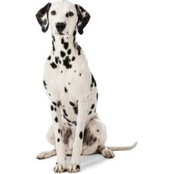 MORE Liegeplatz Cord LOOKS By Wolfgang Joop M -Heimtierbedarf Geschäft 6828406bf5c097465ec912985de2b95c60385f12 1410461 3