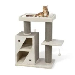 MORE Kratzbaum Edward