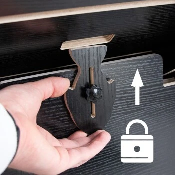 Canadian Cat Company Katzenlaufrad Aus Holz XL Schwarz 7 Canadian Cat Company Katzenlaufrad Aus Holz XL Schwarz – Bild 7