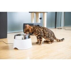 AniOne Edelstahl-Trinkbrunnen Trevi Ohne Ersatzfilter -Heimtierbedarf Geschäft 7a066af048695bbfaeca0a855e5984fc3bf99d03 689fcf415d486ac05c07f2a4868b1d087d7a9ece