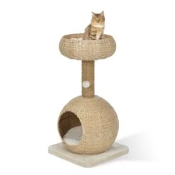 AniOne Kratzbaum Anzo -Heimtierbedarf Geschäft 8251ae4516bf903fd0d3f9c45aa1bbabf8946a79 e7ecb07cf2644d3862a8042d79dc2f0a59c03802