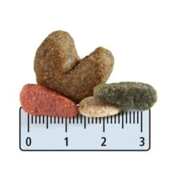 Heimtierbedarf Geschäft -Heimtierbedarf Geschäft 8d38af21c54ccafe109a557c00c3ae305e67a486 1001467003 de DE fgrew