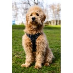 Fressnapf Tracker Pathfinder Geschirr Set S -Heimtierbedarf Geschäft 95fb3d1835f9b47b6bafba0cf238225b5e5c9b2f 1409260 1