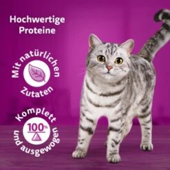 Whiskas Pure Delight Mega Pack Geflügel Ragout In Gelee 40 X 85g -Heimtierbedarf Geschäft 9f640c36363dfb61f5b5632a4b10e09a36dea899 1410723 de DE Whiskas2 1