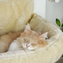 Schlitzohr Heizungsliege Lucky Beige -Heimtierbedarf Geschäft bdc02033928d033279e49ebefe91371e629dfd2f 1484673 de DE 4daf09016934a9074c92f48c173e840fa6385a4agwWEjb