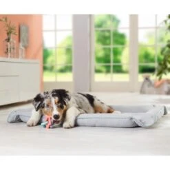 AniOne 2in1 Liegeplatz Pepe & Kitty S -Heimtierbedarf Geschäft c0b1c57ce9a81460ac4881703e585fea19070439 7b3c609afbafd568a967e70d6389fb43f36e72f6