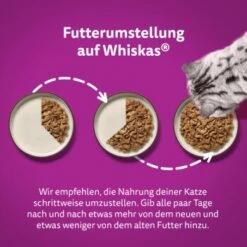 Whiskas Pure Delight Mega Pack Geflügel Ragout In Gelee 40 X 85g -Heimtierbedarf Geschäft d6a8a09c8b825d7ad1f2bed51042c49fcc323dab 1410723 de DE Whiskas 5