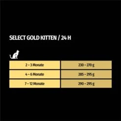SELECT GOLD Kitten 12x85 G 7 SELECT GOLD Kitten 12x85 G -Heimtierbedarf Geschäft e199c30a8062f05a16c4f0c125219f864273bcc1 1099251 de DE 7