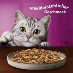 Whiskas Pure Delight Mega Pack Geflügel Ragout In Gelee 40 X 85g -Heimtierbedarf Geschäft fb884326dc9636e4843c68e11f5586233a08be8f 1410723 de DE Whiskas 8